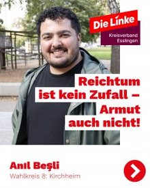 Anil Besli