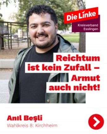 Anil Besli